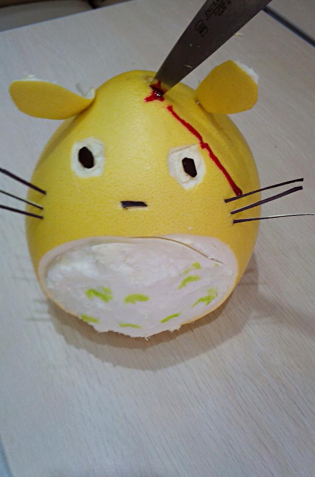 柚子龙猫