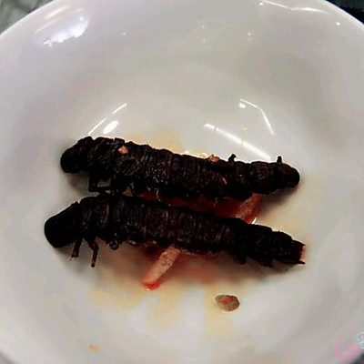 爬沙虫