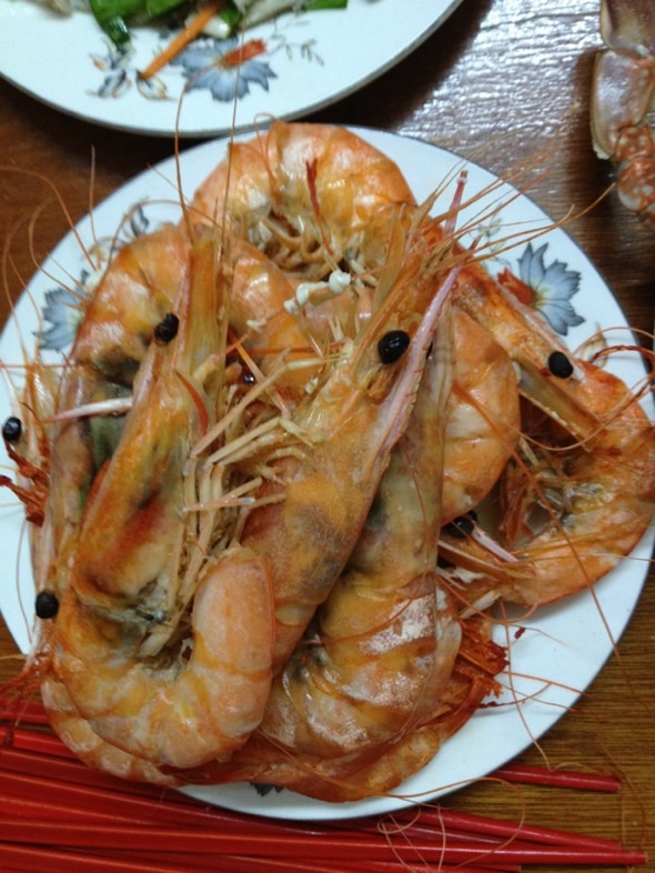 盐水虾