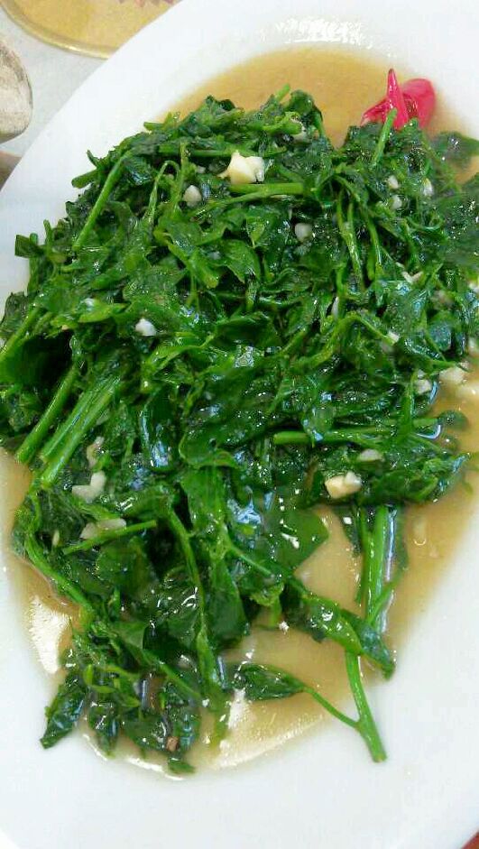 菜钢琴谱
