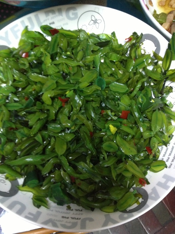 海白菜